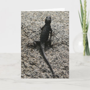 Cartão Black Lizard