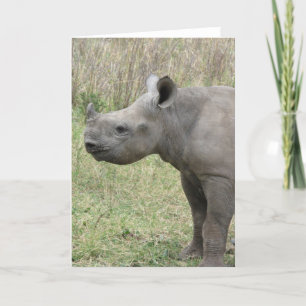Cartão Black Rhino Baby