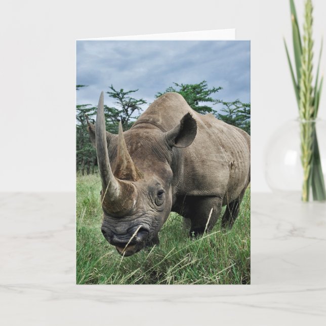 Cartão Black Rhinoceros | Kenya (Frente)