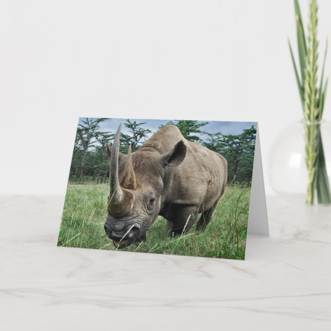 Cartão Black Rhinoceros | Kenya (Frente)