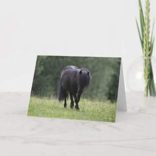 Cartão Black Shetland Pony Stallion Walking