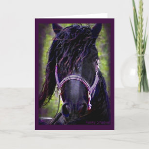 Cartão Black Stallion Card