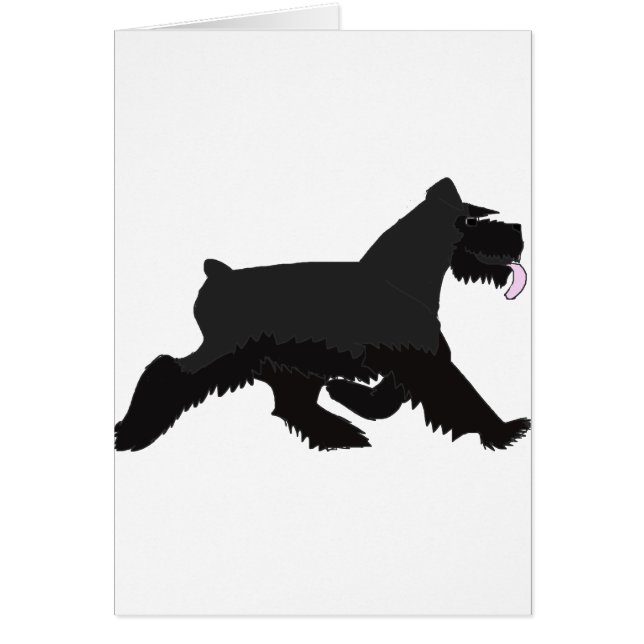 Cartão black_walk (Frente)