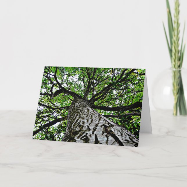 Cartão Black Walnut Trunk and Branches (Frente)