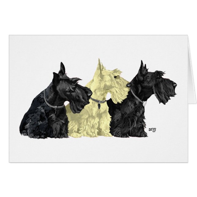 Cartão Black & Wheaten Scottish Terriers (Frente Horizontal)