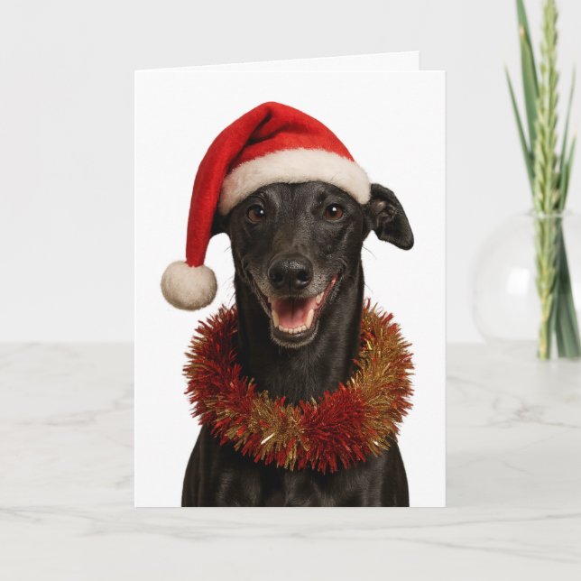 Cartão Black whippet in a Santa hat Christmas card (Frente)