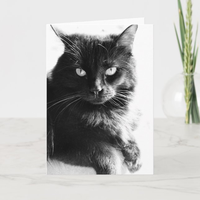 Cartão Black & White Photo Pretty Black Cat, blank notes (Frente)