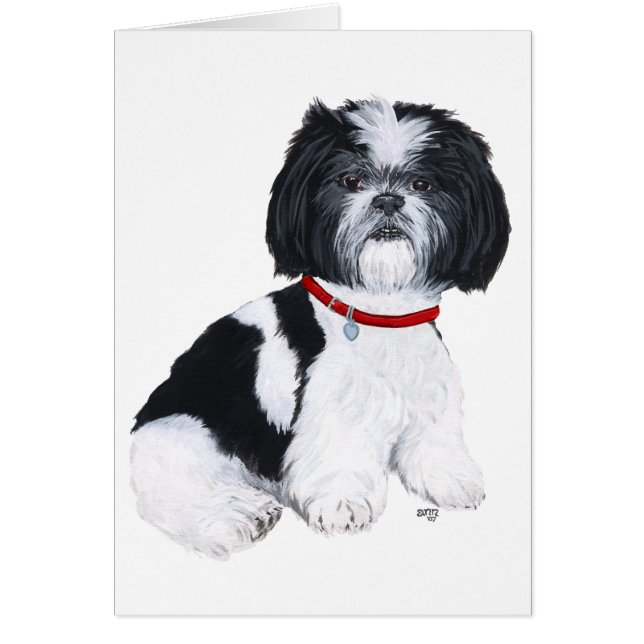 Cartão Black & White Shih Tzu (Frente)