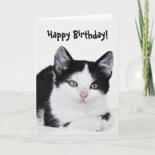 Cartão Black White Thoughtful Kitten Greeting Card