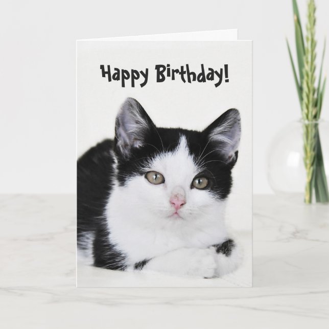 Cartão Black White Thoughtful Kitten Greeting Card (Frente)