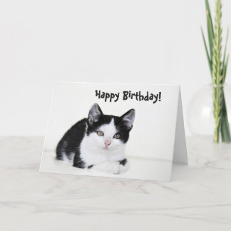 Cartão Black White Thoughtful Kitten Greeting Card