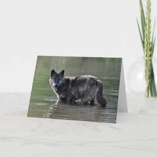 Cartão Black Wolf Greeting Card (Frente)