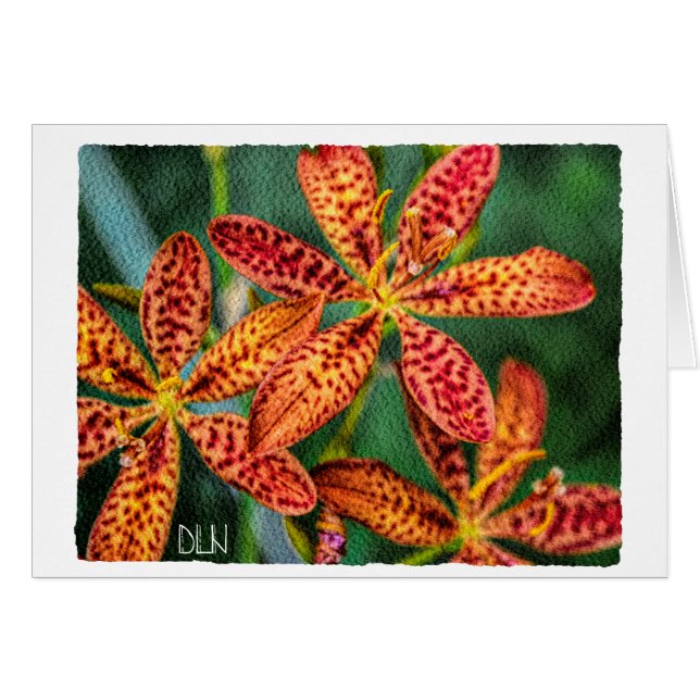 Cartão Blackberry Lily Flower/Floral Art/ (Frente horizontal)