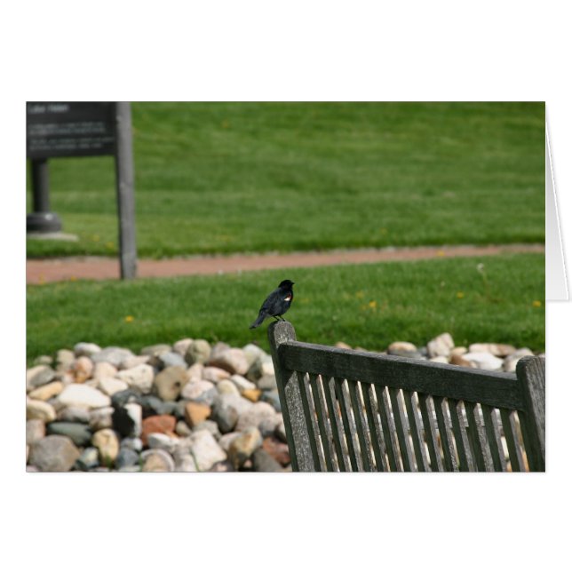 Cartão Blackbird Bench (Frente Horizontal)