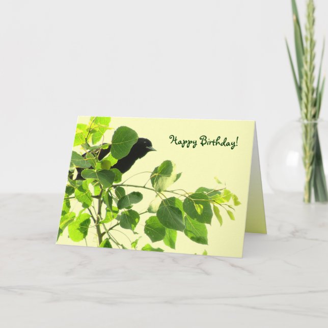 Cartão Blackbird Birthday (Frente)