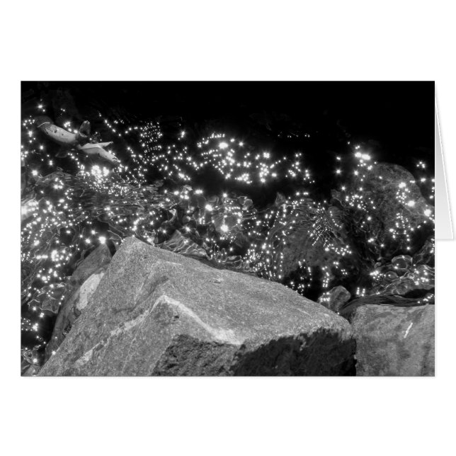 Cartão Blackwood Canyon, Lago Tahoe (Frente Horizontal)