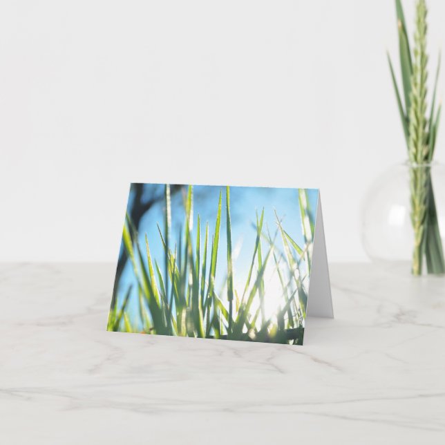 Cartão Blades Sunlit (Frente)