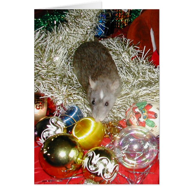 Cartão Blaize e os Baubles (Frente)