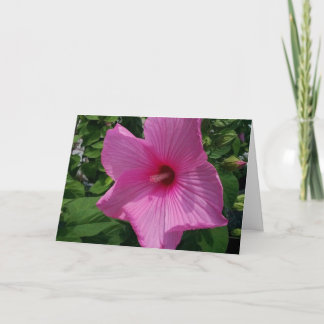 Cartão Blank Birthday Card
