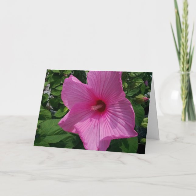 Cartão Blank Birthday Card (Frente)