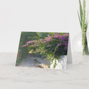 Cartão Blank Card - Bougainvillea on a wall