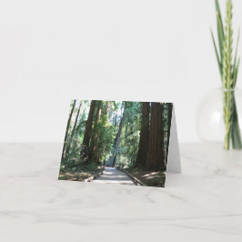 Cartão Blank Card, Muir Woods