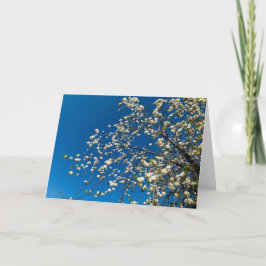 Cartão Blank card with blossom tree image