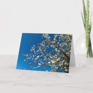 Cartão Blank card with blossom tree image