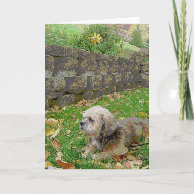 Cartão Blank card with Foster (Frente)