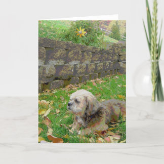 Cartão Blank card with Foster