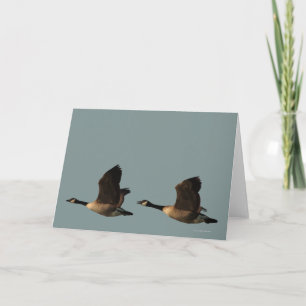 Cartão Blank Customizable Flying Geese Card