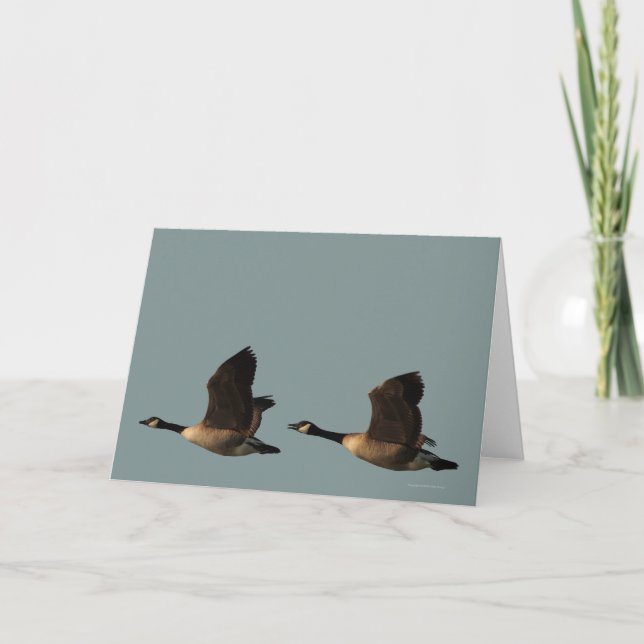 Cartão Blank Customizable Flying Geese Card (Frente)