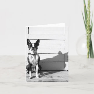 Cartão blank dog notecard
