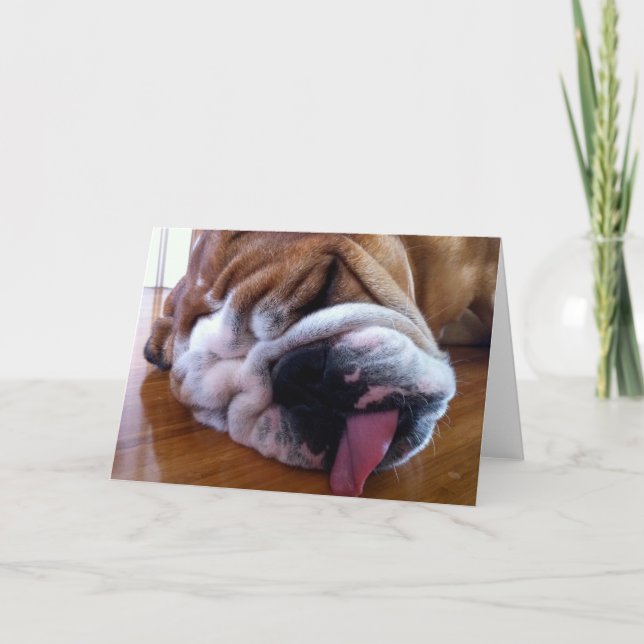 Cartão Blank English Bulldog Greeting Card (Frente)