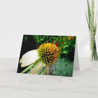 Cartão Blank Greeting Card