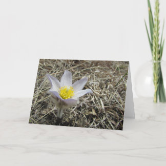 Cartão Blank Greeting Card