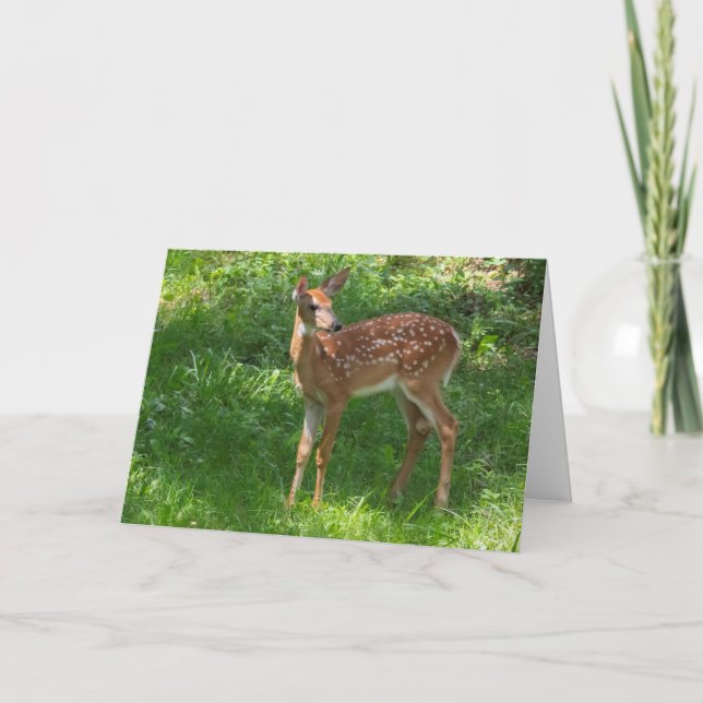 Cartão Blank Greeting Card Fawn (Frente)