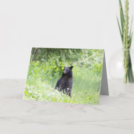 Cartão Blank greeting card featuring Black bear