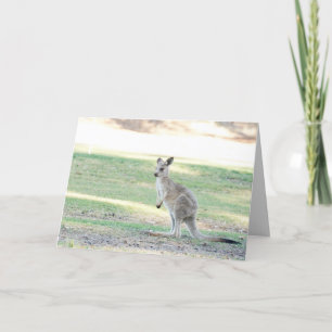 Cartão Blank greeting card featuring Kangaroo joey