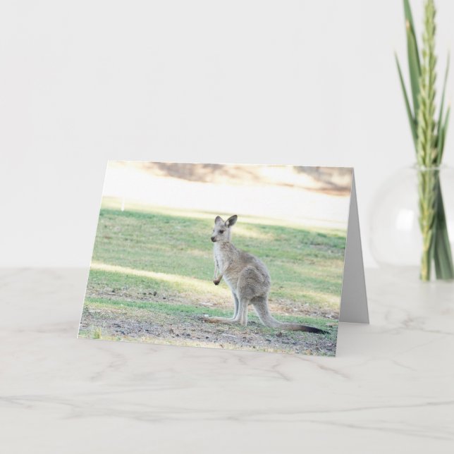 Cartão Blank greeting card featuring Kangaroo joey (Frente)