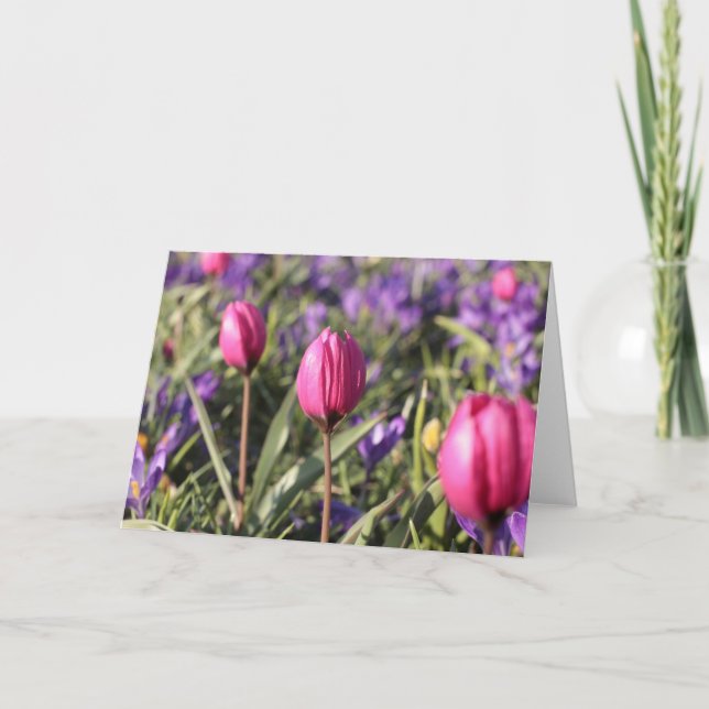 Cartão Blank Greeting Card: Spring flowers (Frente)