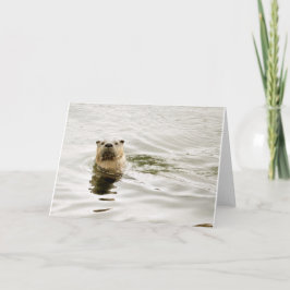 Cartão Blank Greeting Card with Otter photo