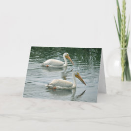 Cartão Blank Greeting Card with Pelican photo