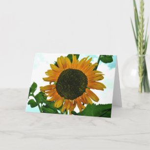 Cartão Blank greeting card with Sunflower photo