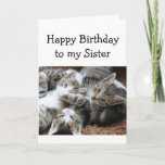 Cartão Blank Happy Birthday Sister Fun Pile of Kittens<br><div class="desc">Happy Birthday with a fun pile of kittens for the cat loving Sister.  Blank inside to add your own message</div>