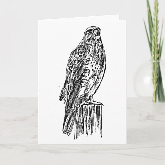 Cartão Blank Hawk Notecard (Frente)