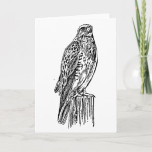 Cartão Blank Hawk Notecard