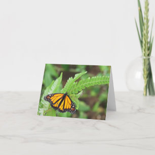 Cartão Blank note card