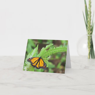 Cartão Blank note card