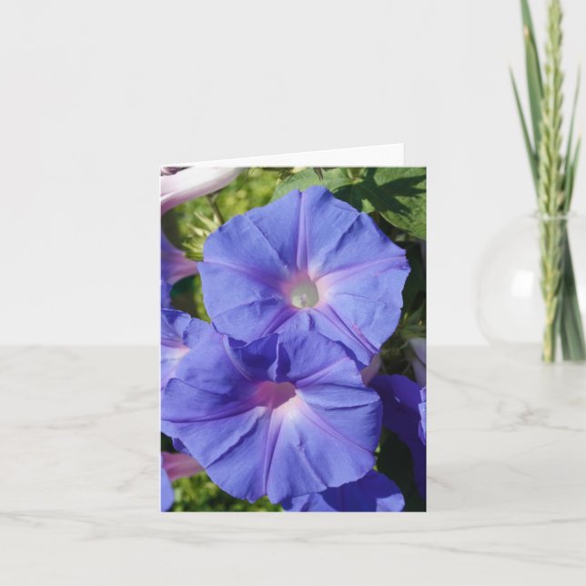 Cartão Blank Note Card, Morning Glory (Frente)